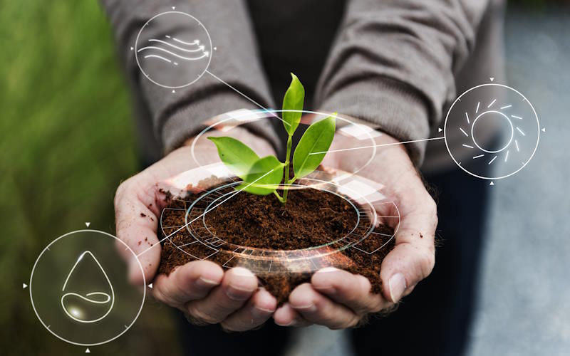 Desenvolvimento Sustentável: por que o setor agrícola tem a ganhar com ele?